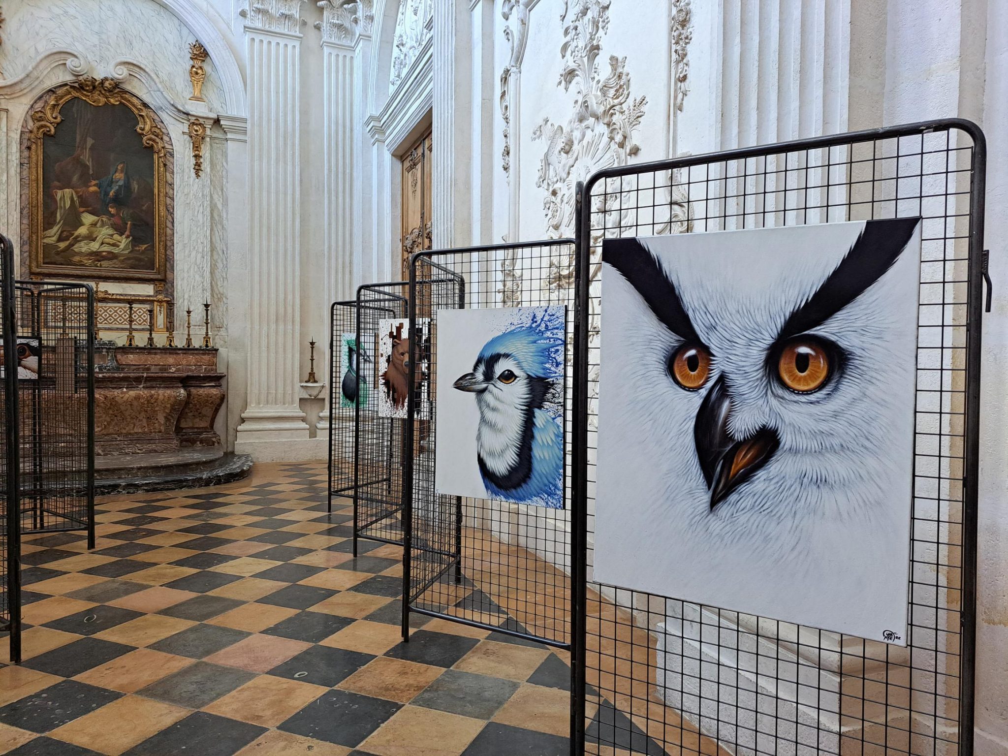 Exhibitions “Portraits of birds” and “Wild dreams”