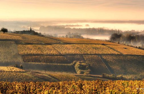 Semaine de la Vigne et du Vin