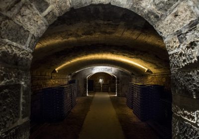 Caves Patriarche Père & Fils – Visite Dégustation Liberté - 4