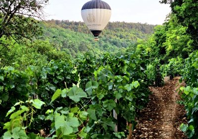 France Montgolfières – Beaune - 3