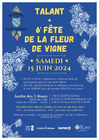 6ème fête de la fleur de vigne  de TALANT - 0