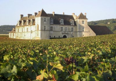 Livres en Vignes à Vougeot