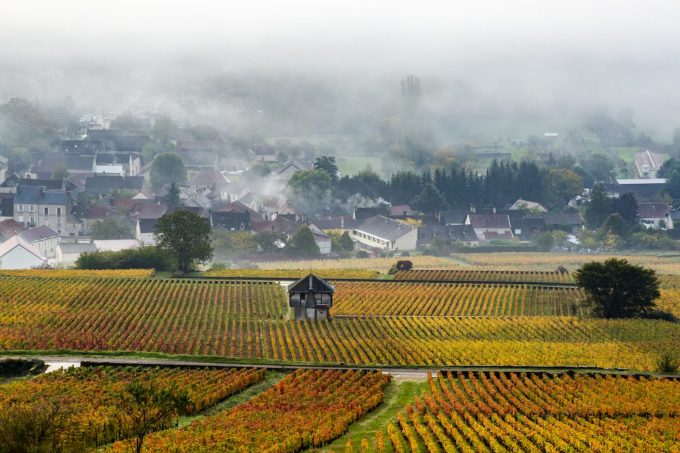 Chemins de Bourgogne – Journée en Côte de Beaune et Côte de Nuits - 0