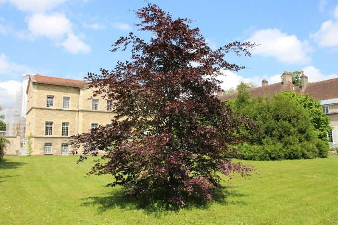 Rendez-vous aux jardins 2024 : parc du centre hospitalier La Chartreuse - 1